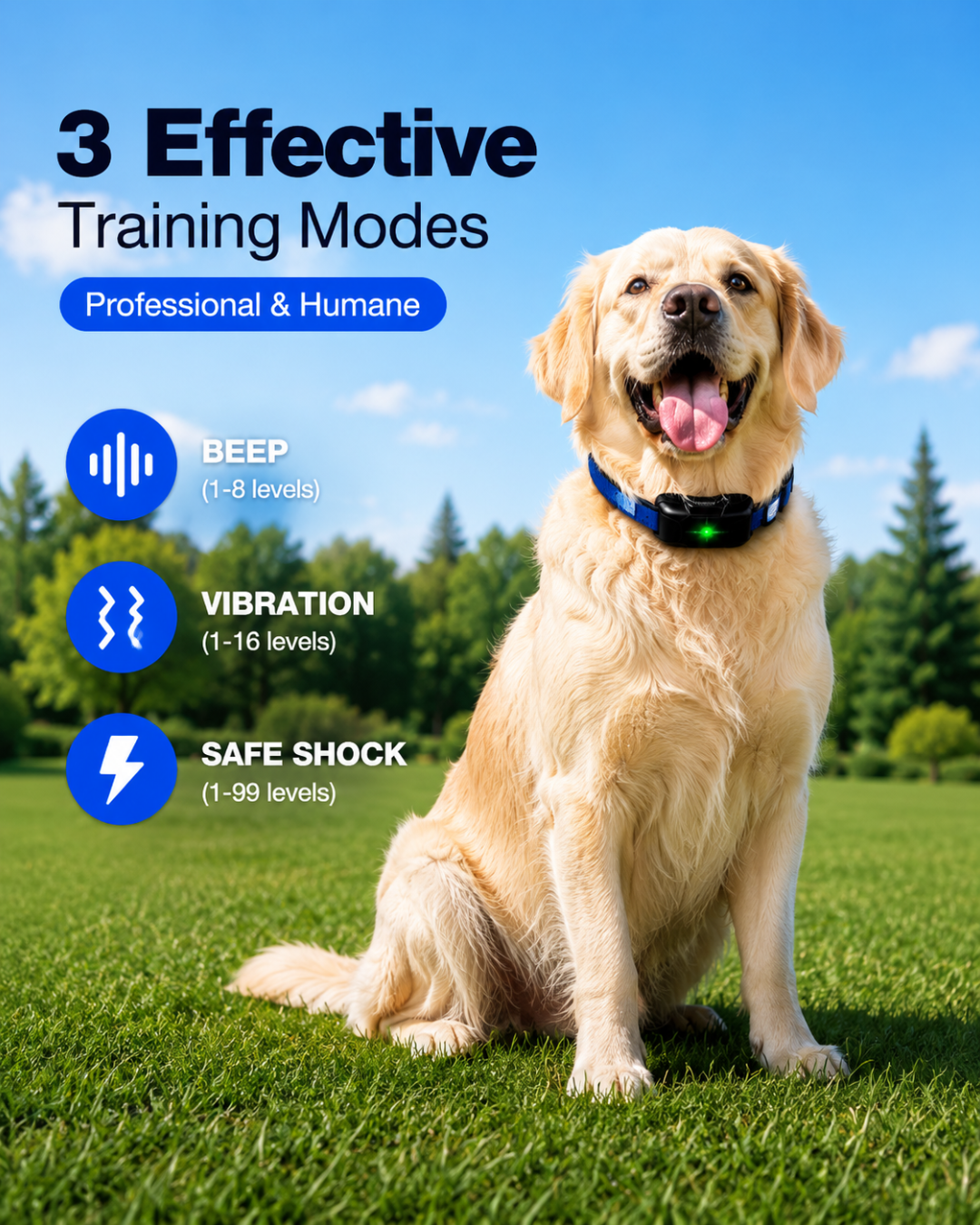 Rechargeable Dog Training Collar
