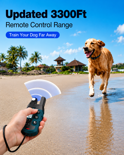 Rechargeable Dog Training Collar